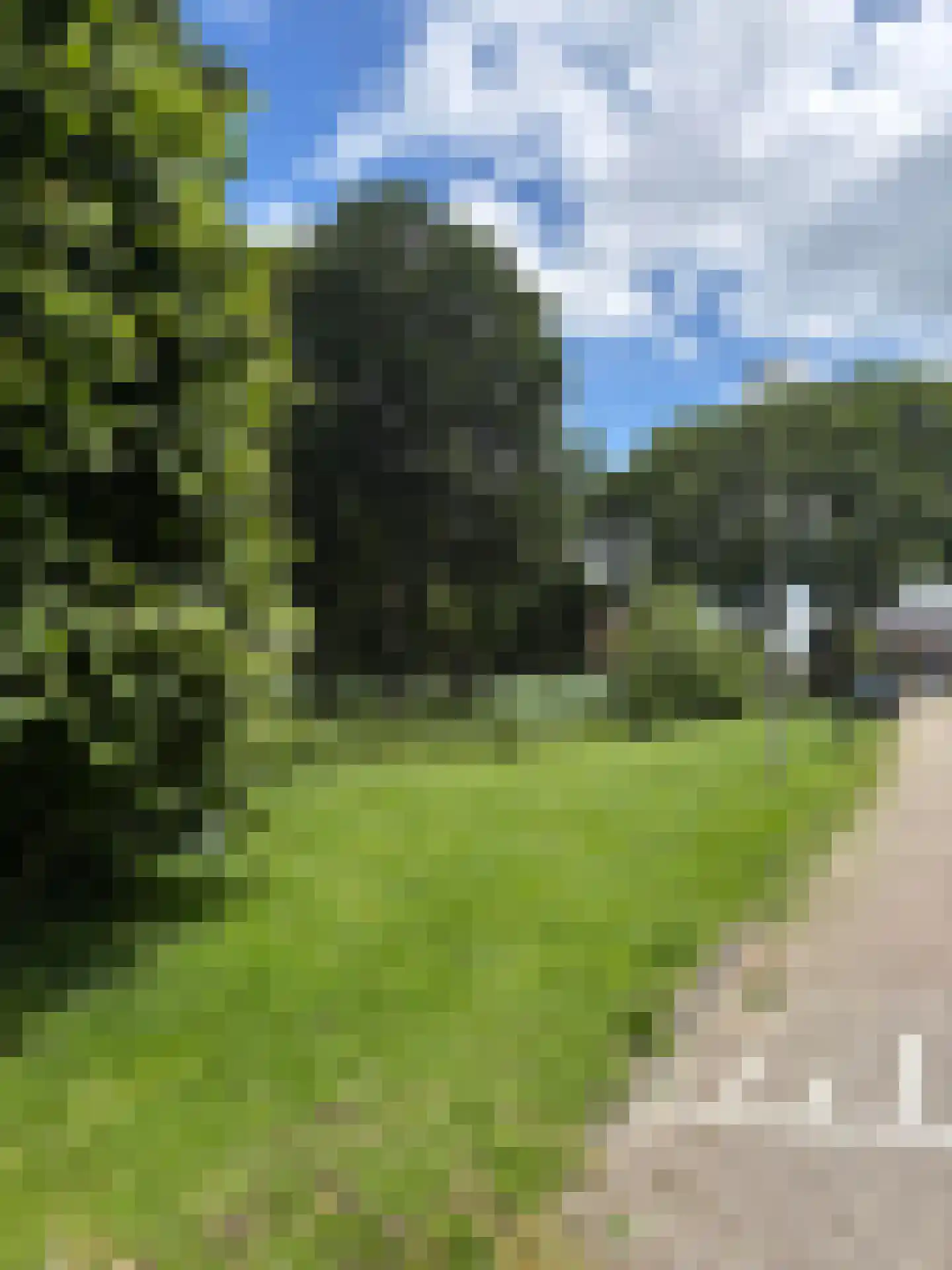 Hazelaarstraat 14 Vianen thumbnail 51