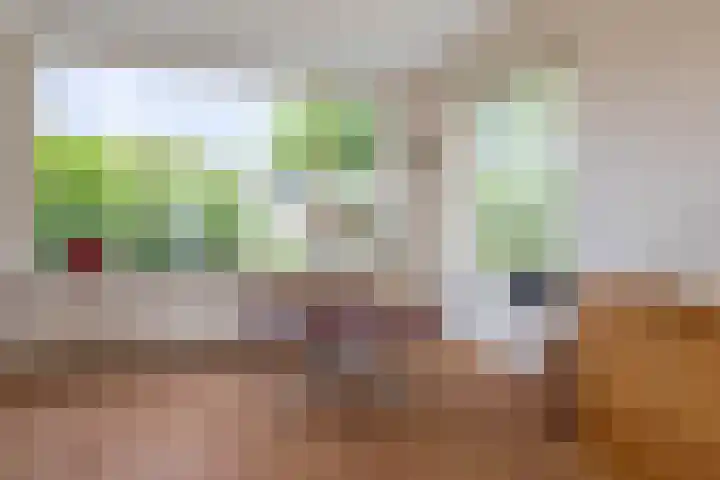 Hazelaarstraat 15 Alphen aan den Rijn thumbnail 7