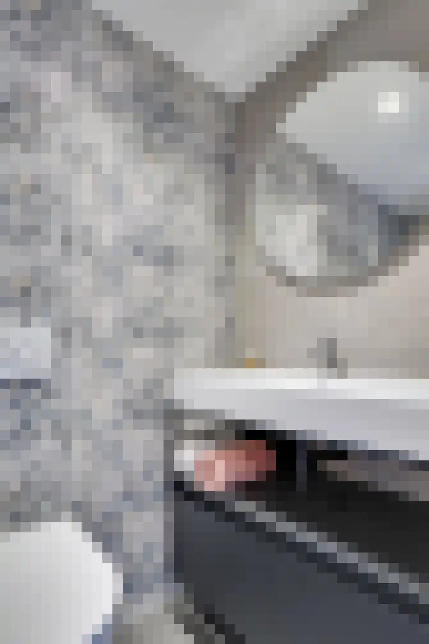 Hazelaarstraat 19 Woerden thumbnail 32