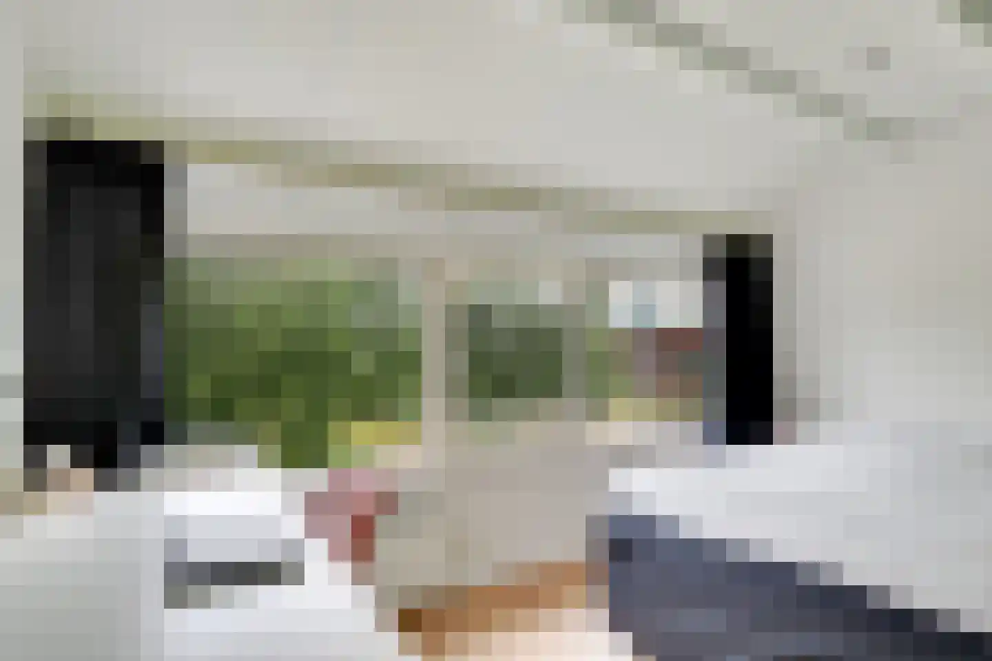 Hazelaarstraat 19 Woerden thumbnail 38