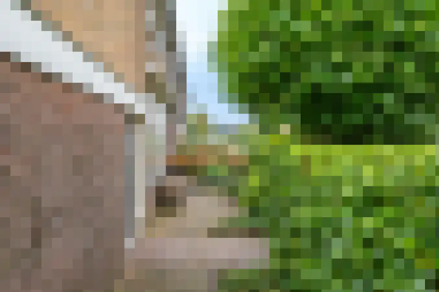 Hazelaarstraat 19 Woerden thumbnail 8