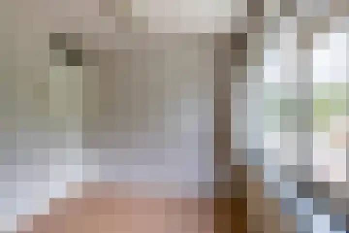Hazelaarstraat 2 Hoogeveen thumbnail 20