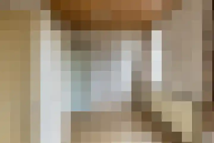 Hazelaarstraat 2 Hoogeveen thumbnail 25