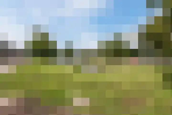 Hazelaarstraat 2 Hoogeveen thumbnail 34