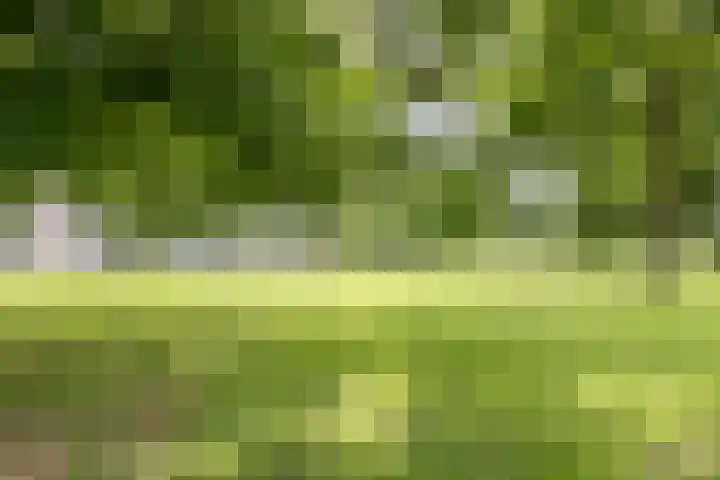 Hazelaarstraat 2 Hoogeveen thumbnail 35