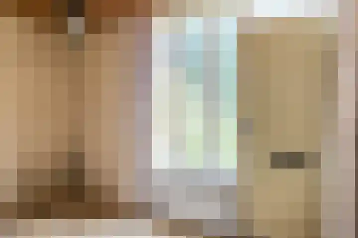 Hazelaarstraat 2 Hoogeveen thumbnail 7