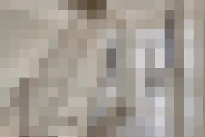 Hazelaarstraat 2 Opheusden thumbnail 32