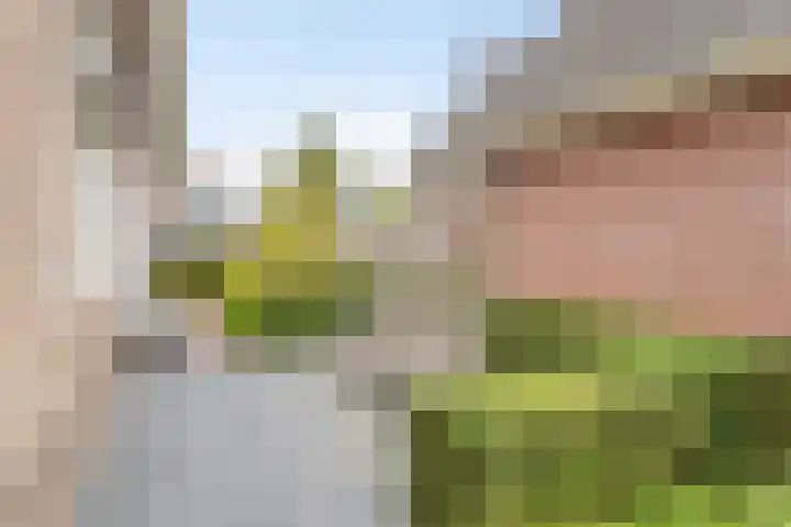 Hazelaarstraat 2 Opheusden thumbnail 51