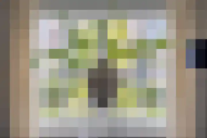 Hazelaarstraat 2 Opheusden thumbnail 7