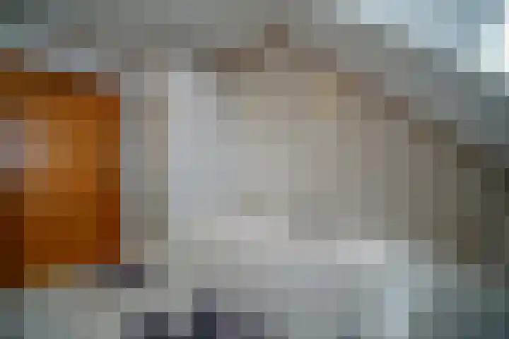 Hazelaarstraat 2 St. Willebrord thumbnail 26
