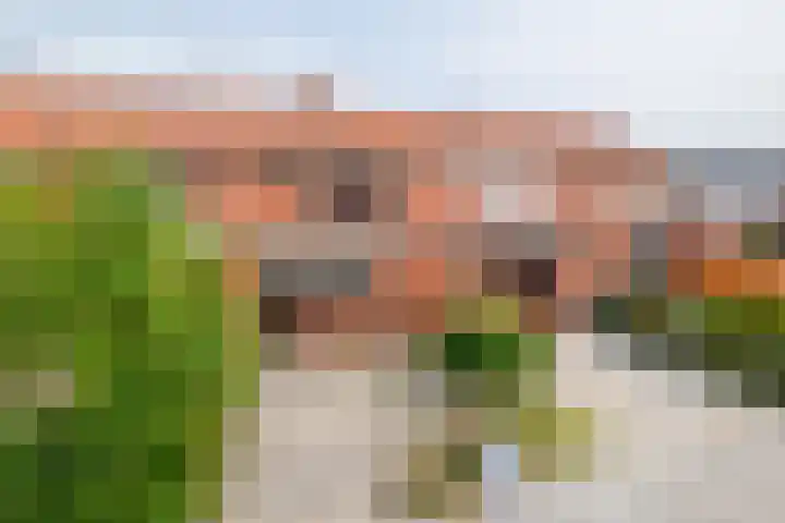 Hazelaarstraat 20 Winschoten thumbnail 21