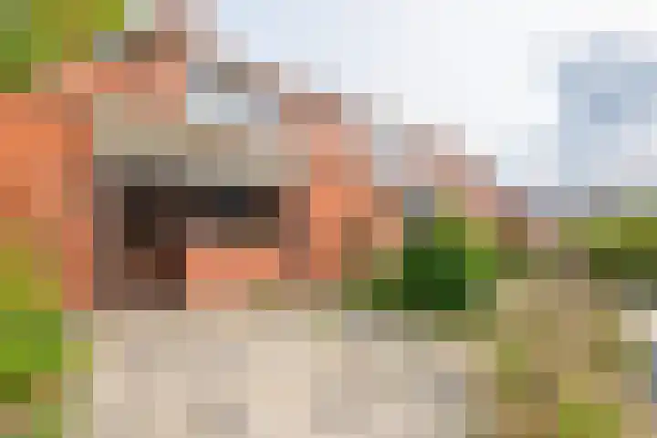 Hazelaarstraat 20 Winschoten foto 3