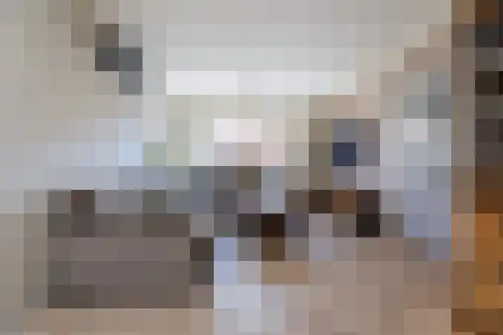 Hazelaarstraat 21 Wezep thumbnail 10