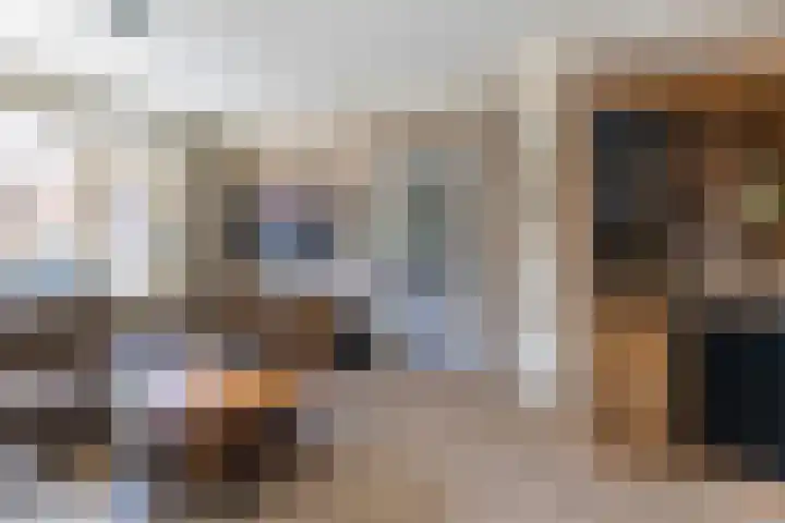 Hazelaarstraat 21 Wezep thumbnail 12