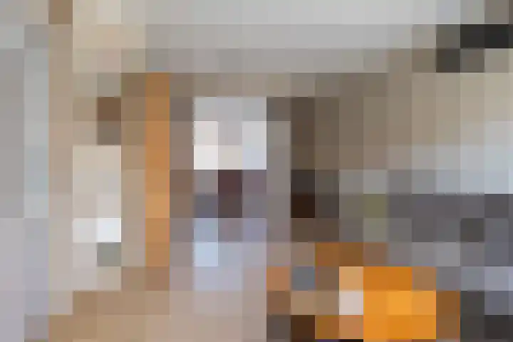 Hazelaarstraat 21 Wezep thumbnail 13