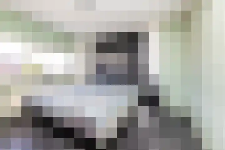 Hazelaarstraat 21 Wezep thumbnail 20