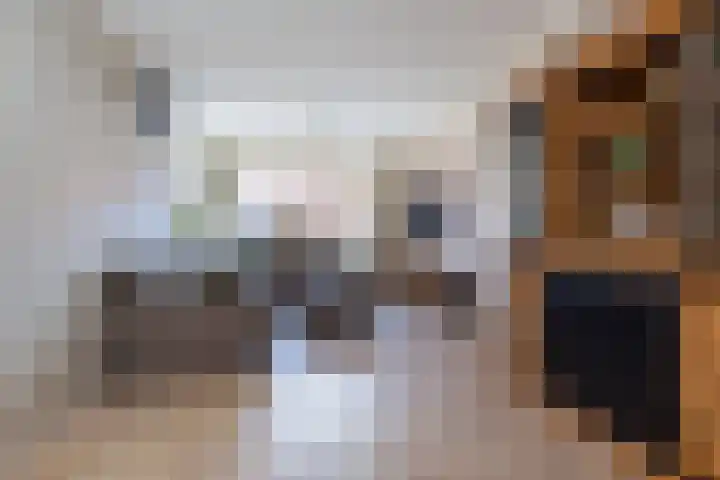 Hazelaarstraat 21 Wezep thumbnail 5