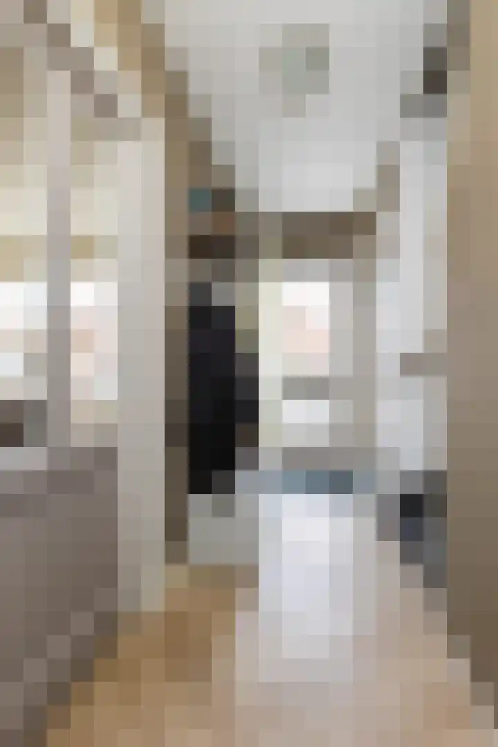 Hazelaarstraat 21 Wezep thumbnail 7