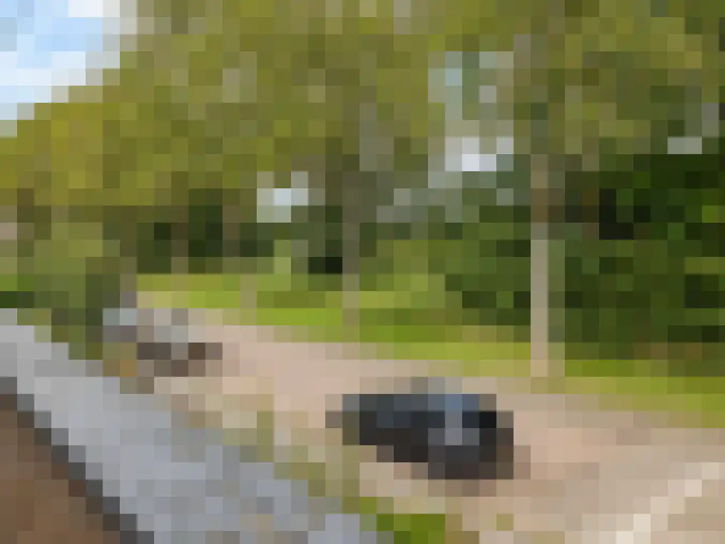 Hazelaarstraat 22 Vianen thumbnail 30