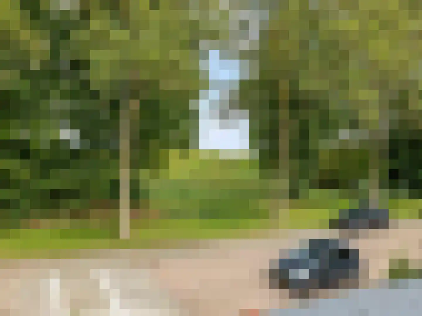 Hazelaarstraat 22 Vianen thumbnail 31