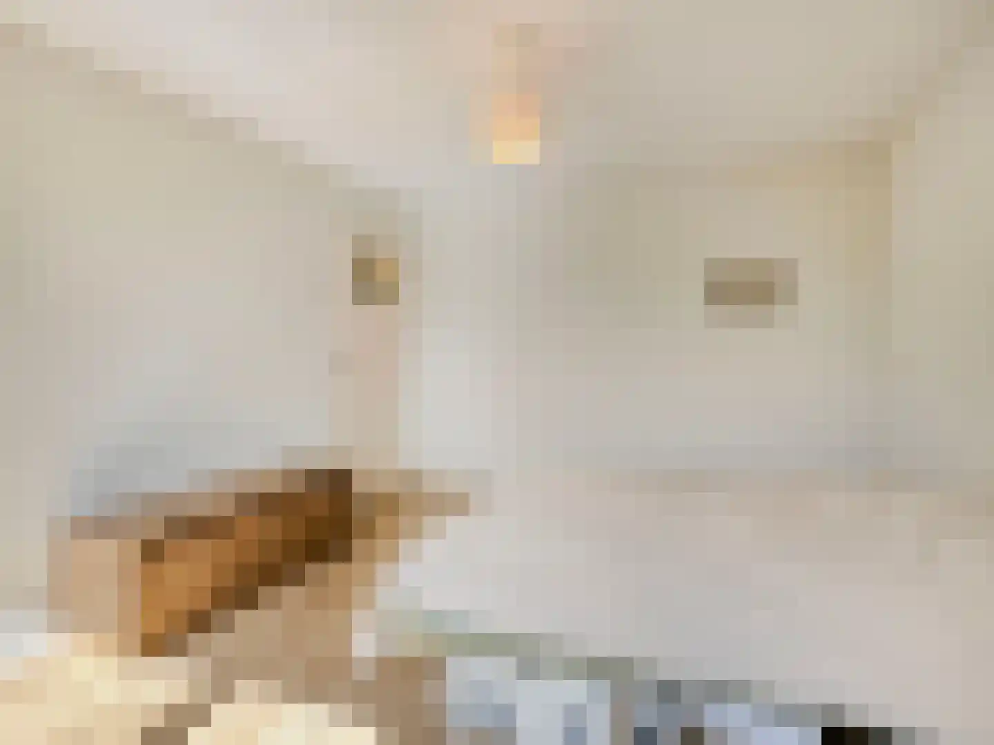 Hazelaarstraat 22 Vianen thumbnail 37