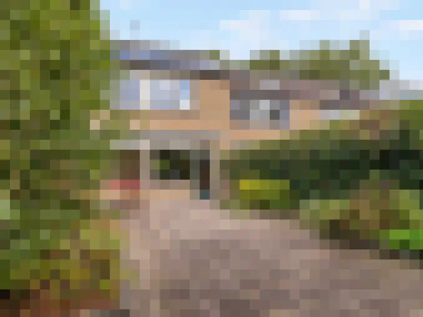 Hazelaarstraat 22 Vianen thumbnail 50