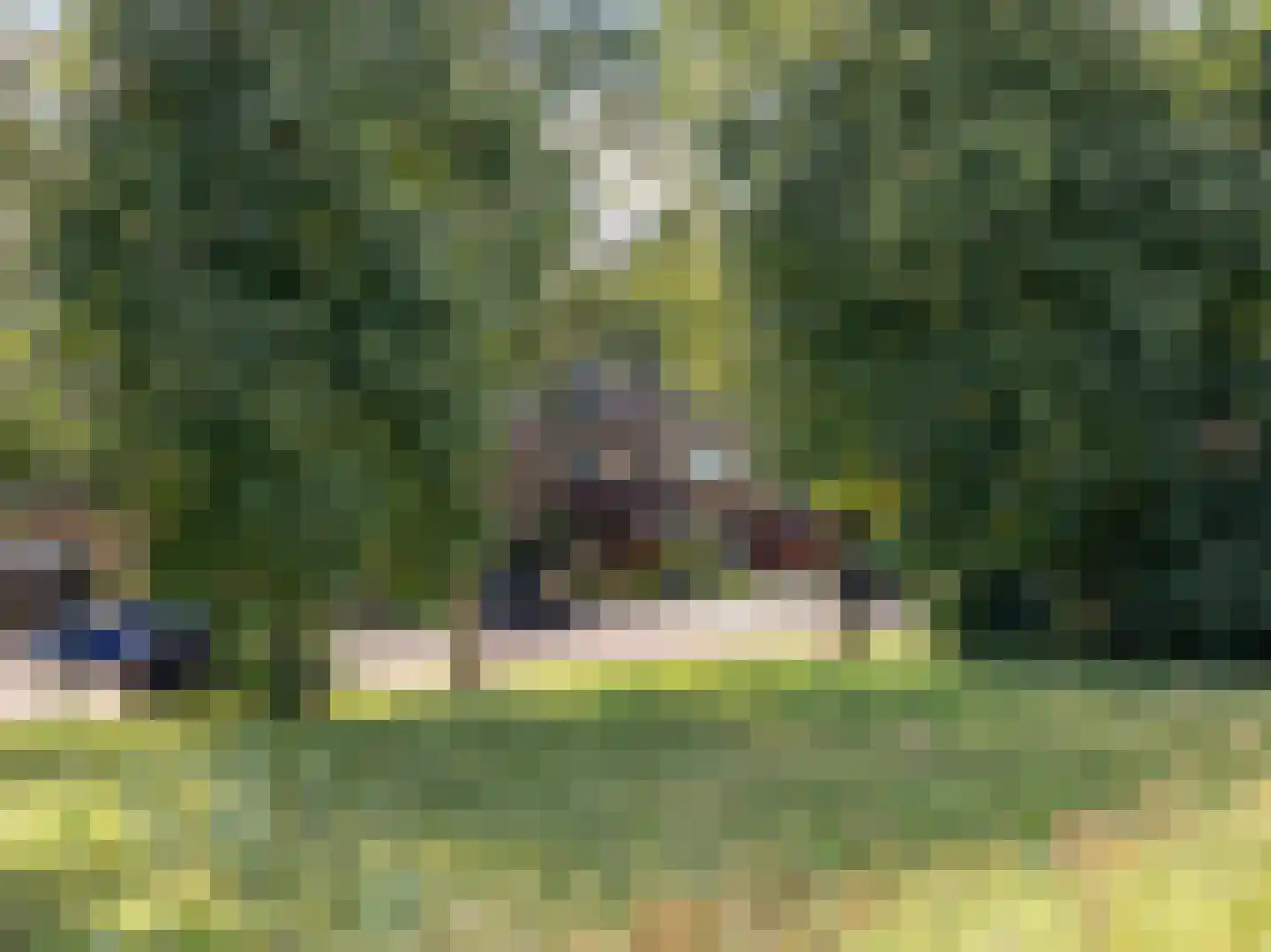 Hazelaarstraat 22 Vianen thumbnail 53