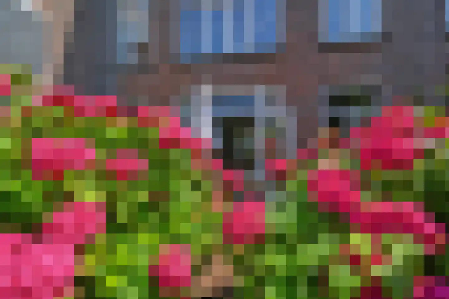 Hazelaarstraat 23 Den Haag thumbnail 27