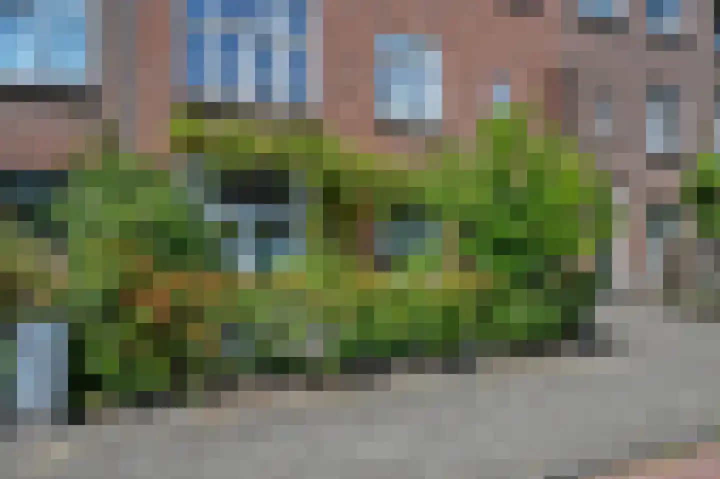 Hazelaarstraat 23 Den Haag thumbnail 5
