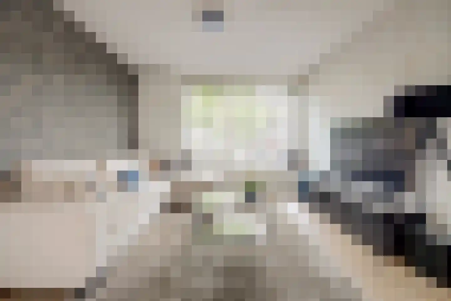 Hazelaarstraat 23 Spijkenisse thumbnail 12