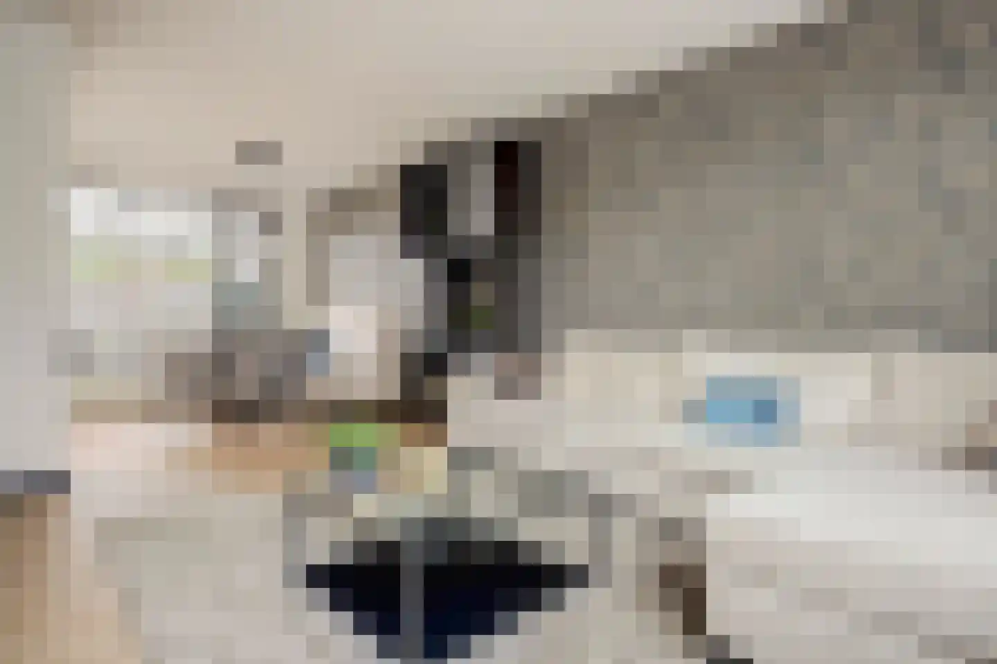 Hazelaarstraat 23 Spijkenisse thumbnail 9