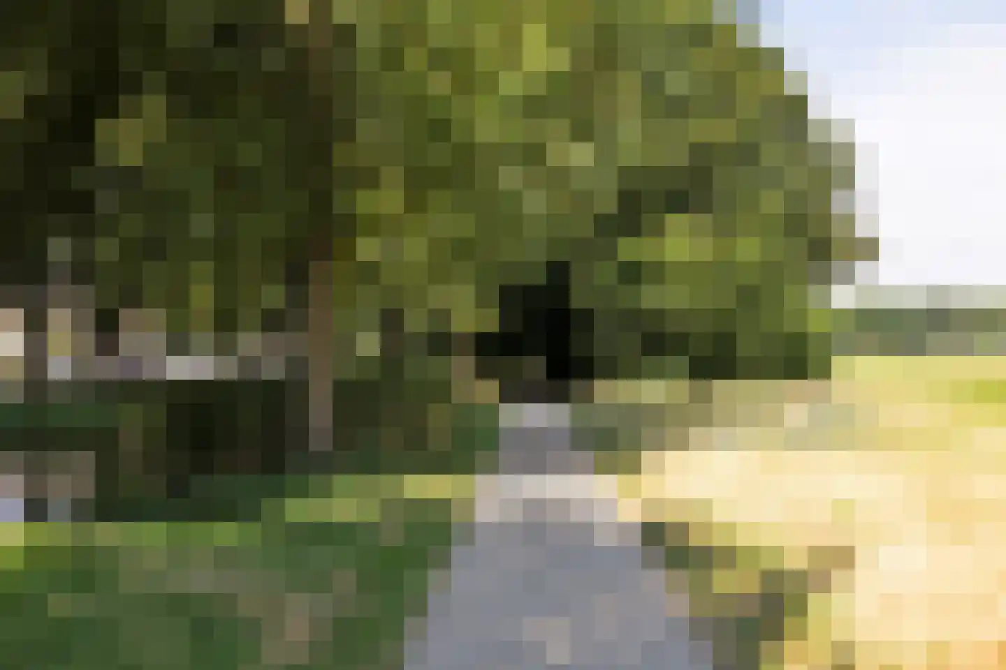 Hazelaarstraat 27 Puttershoek thumbnail 35
