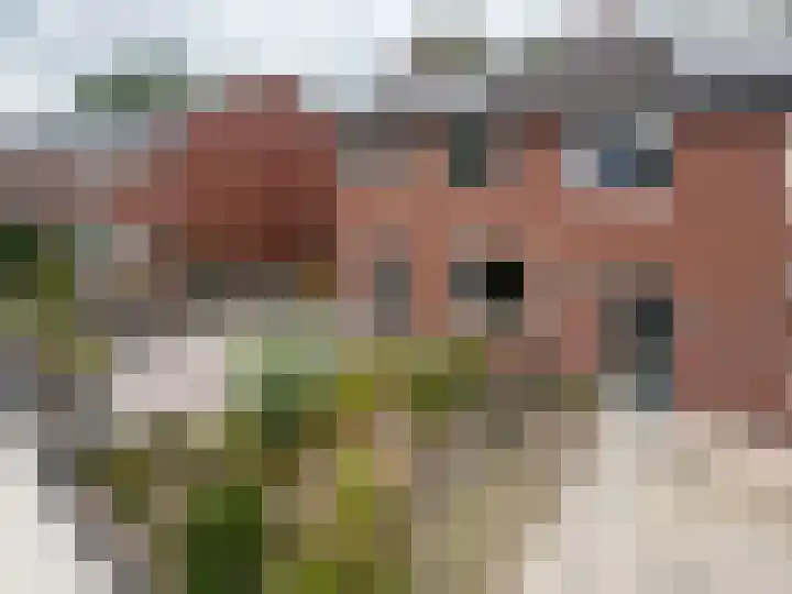Hazelaarstraat 33 Grootegast thumbnail 49