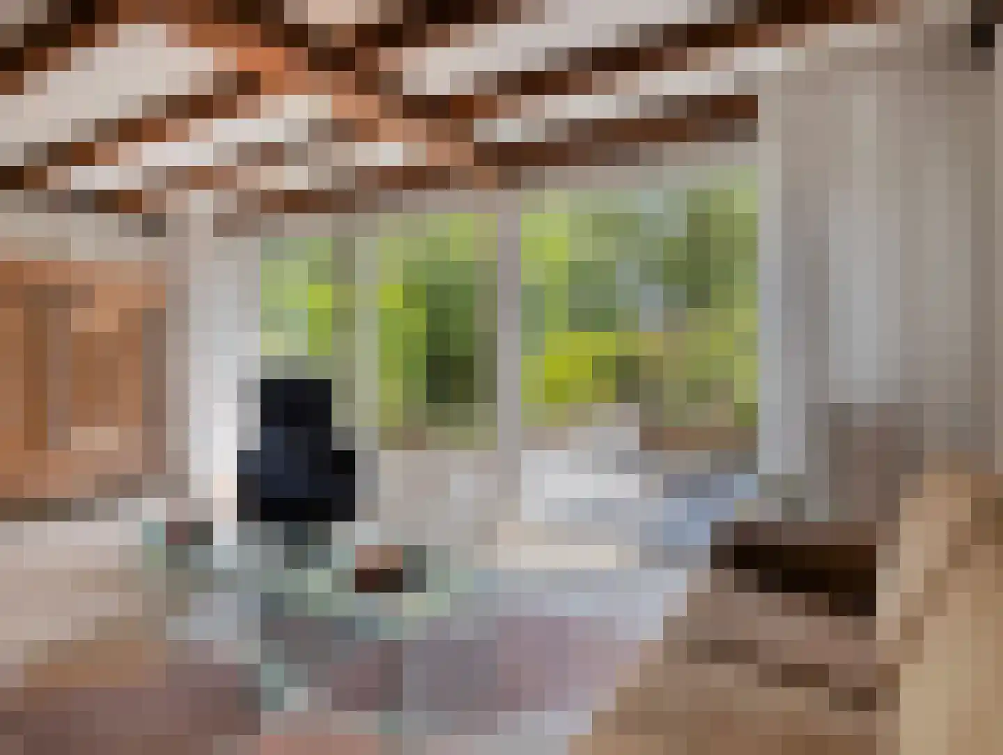 Hazelaarstraat 34 Vianen thumbnail 17