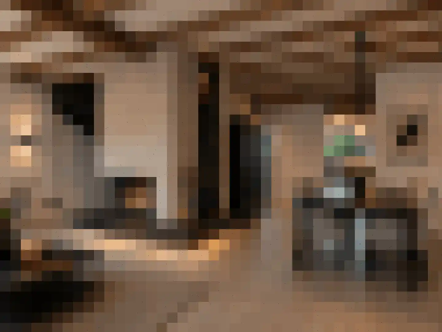 Hazelaarstraat 34 Vianen thumbnail 21