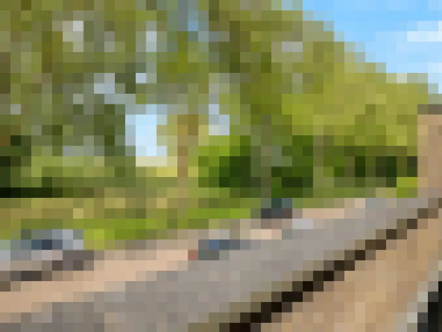 Hazelaarstraat 34 Vianen thumbnail 42