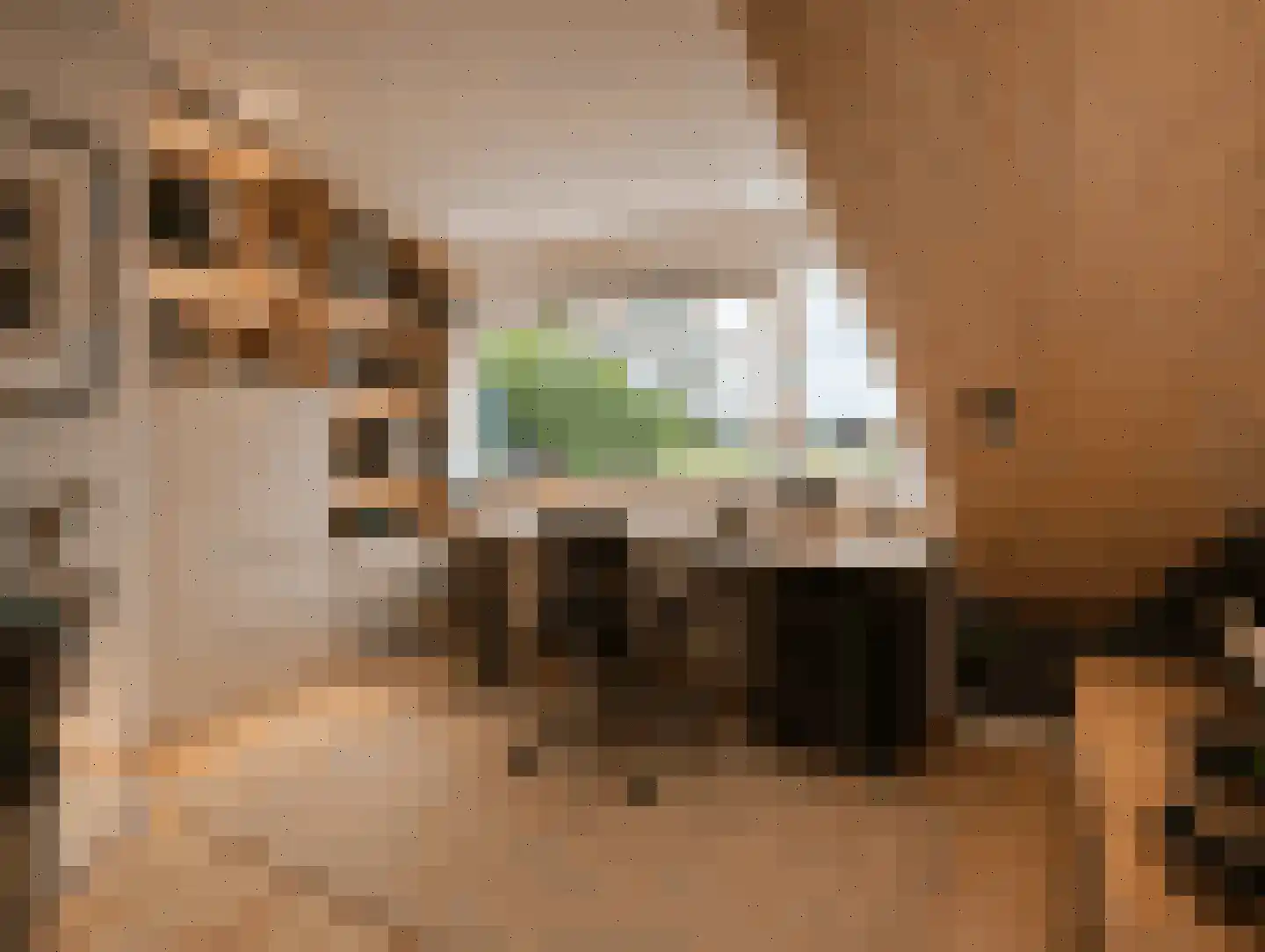 Hazelaarstraat 34 Vianen thumbnail 47