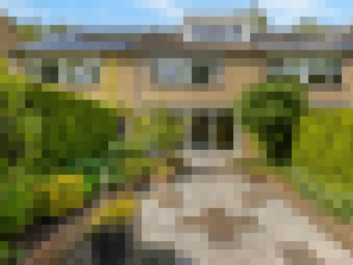 Hazelaarstraat 34 Vianen thumbnail 51