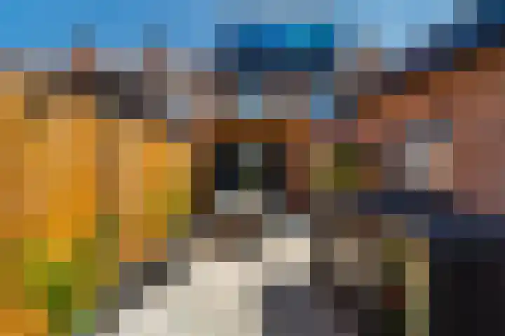 Hazelaarstraat 38 Monster thumbnail 6