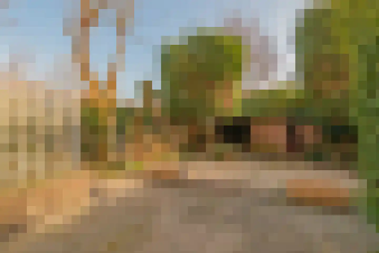 Hazelaarstraat 39 Monster thumbnail 6
