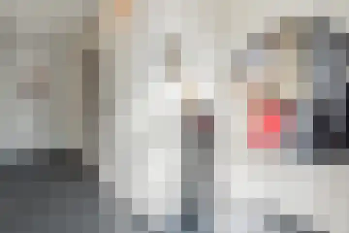 Hazelaarstraat 4 Hoogeveen thumbnail 15