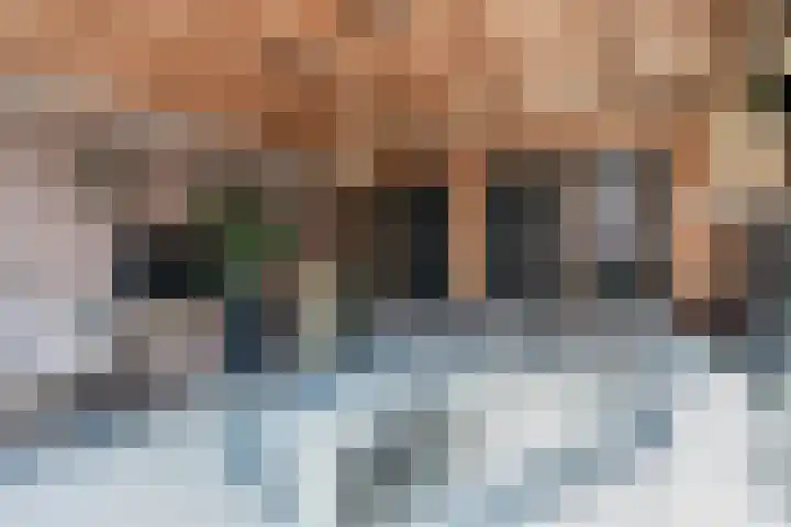 Hazelaarstraat 4 Hoogeveen thumbnail 33