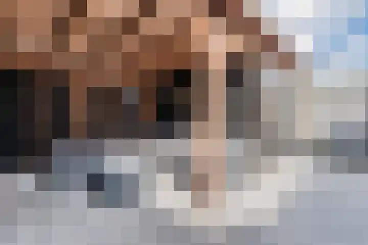 Hazelaarstraat 4 Hoogeveen thumbnail 34