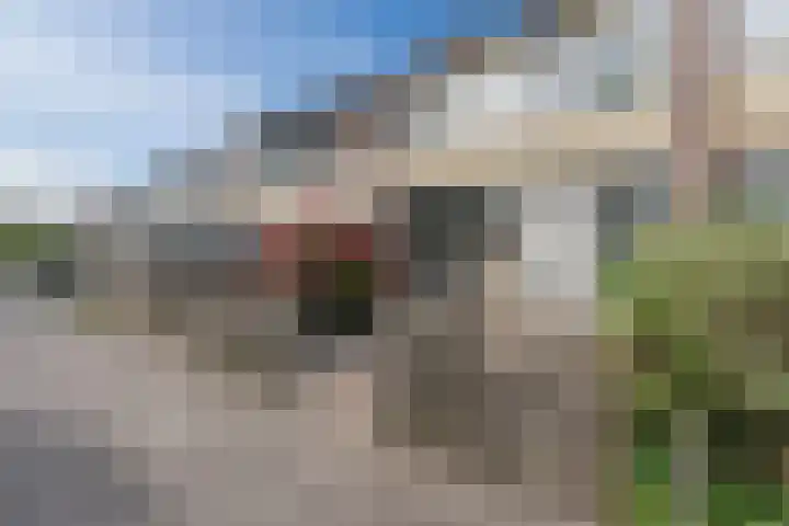 Hazelaarstraat 4 Hoogeveen thumbnail 4