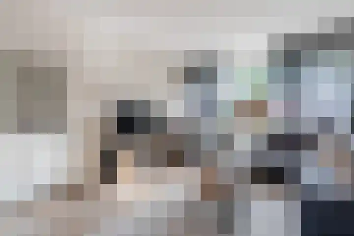 Hazelaarstraat 4 Hoogeveen thumbnail 5