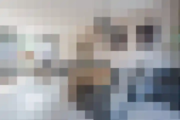Hazelaarstraat 4 Hoogeveen thumbnail 7