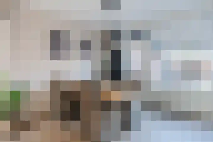 Hazelaarstraat 4 Hoogeveen thumbnail 8