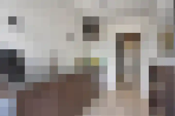 Hazelaarstraat 40 Sint-Oedenrode thumbnail 7