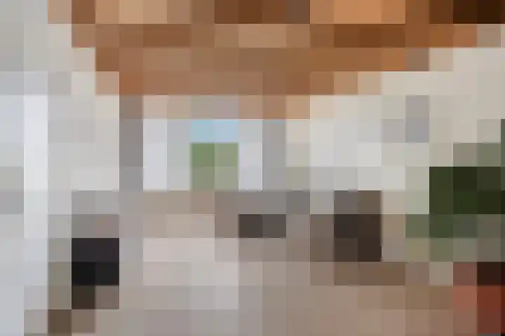Hazelaarstraat 40 Sint-Oedenrode thumbnail 9
