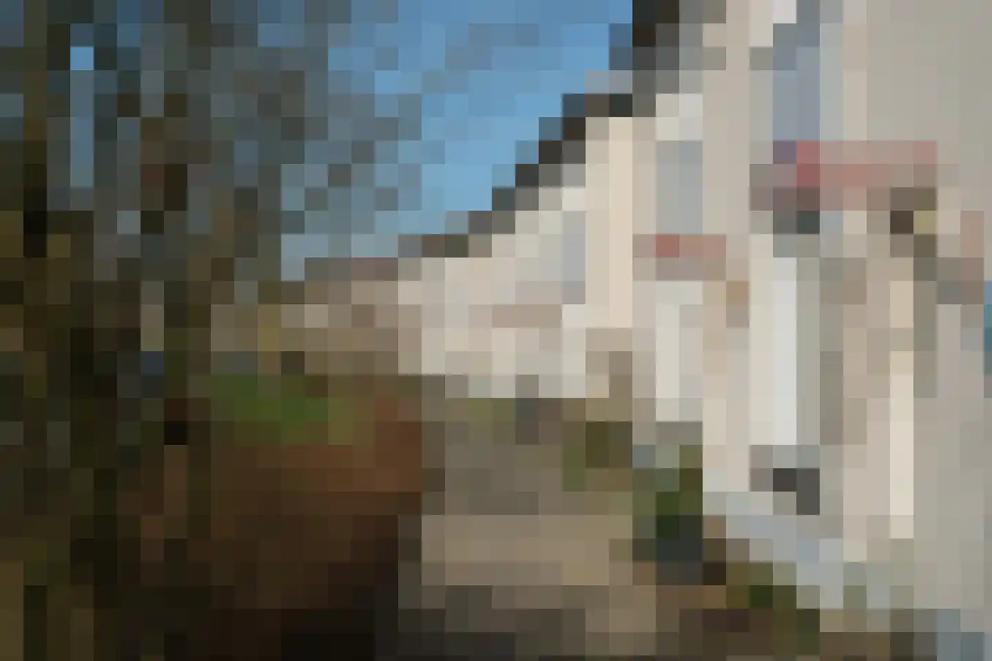 Hazelaarstraat 42 Almelo thumbnail 22
